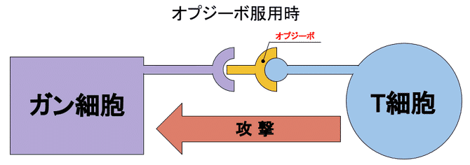 オプジーボ効果画像