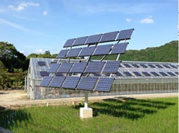 ペロブスカイト太陽電池の参照画像