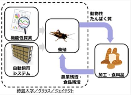 ジェイテクトが行う昆虫食関連事業を表す画像